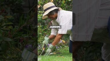 A melhor estratégia de Google Ads.