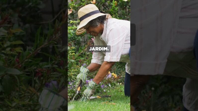 A melhor estratégia de Google Ads.